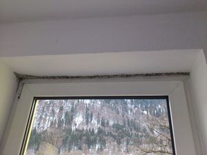 Schimmelschaden an einem Fenster Schimmelschaden an einem Fenster